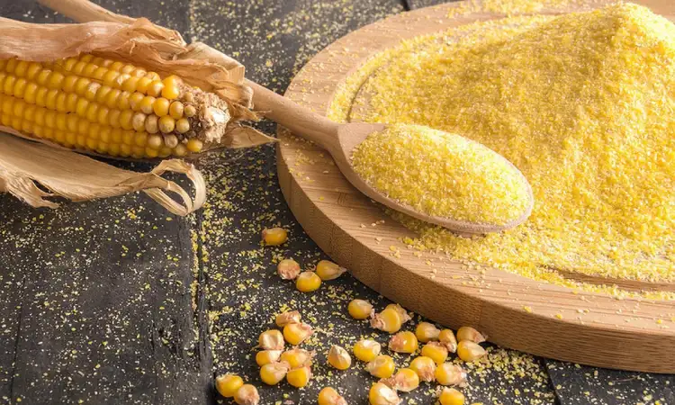 Maize / Corn (Yellow & White)