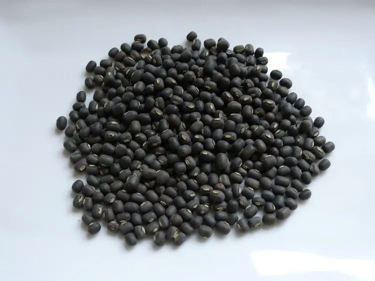 Black Gram (Whole Urad)
