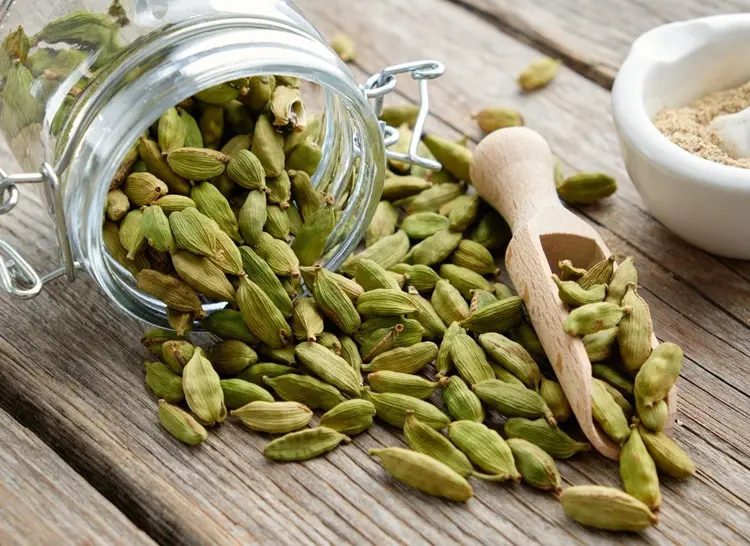 Cardamom Pods (Green & Black)