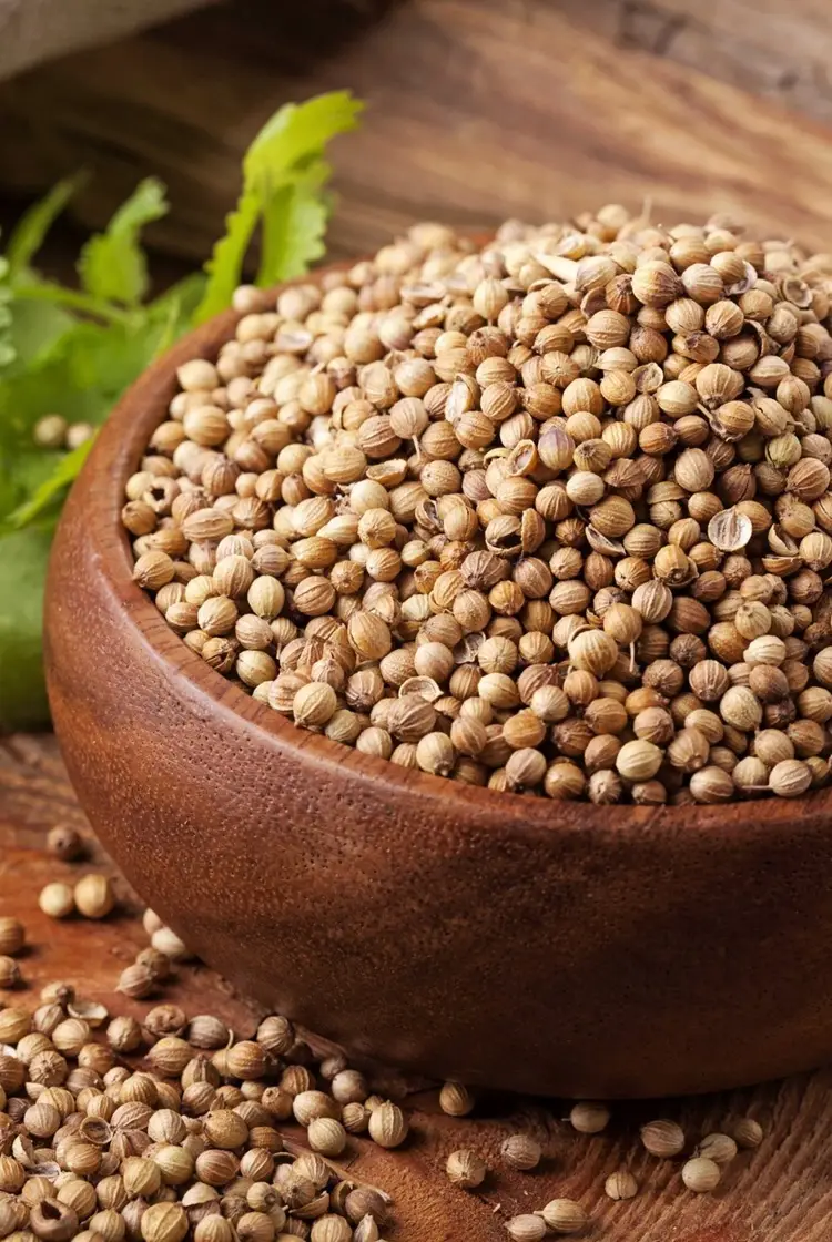 Coriander Seeds