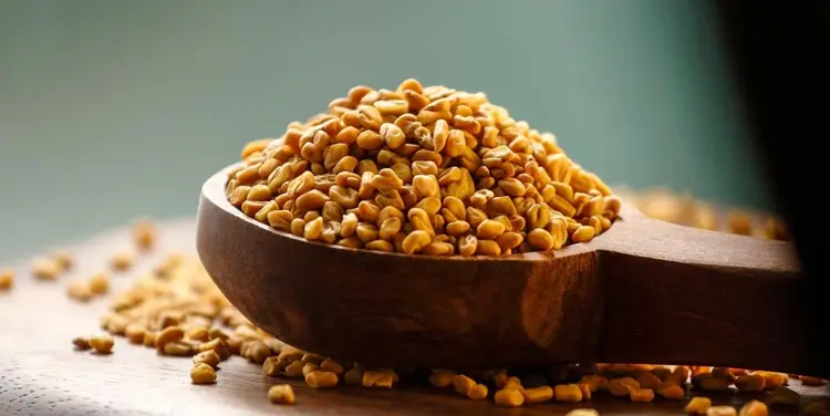 Fenugreek Seeds